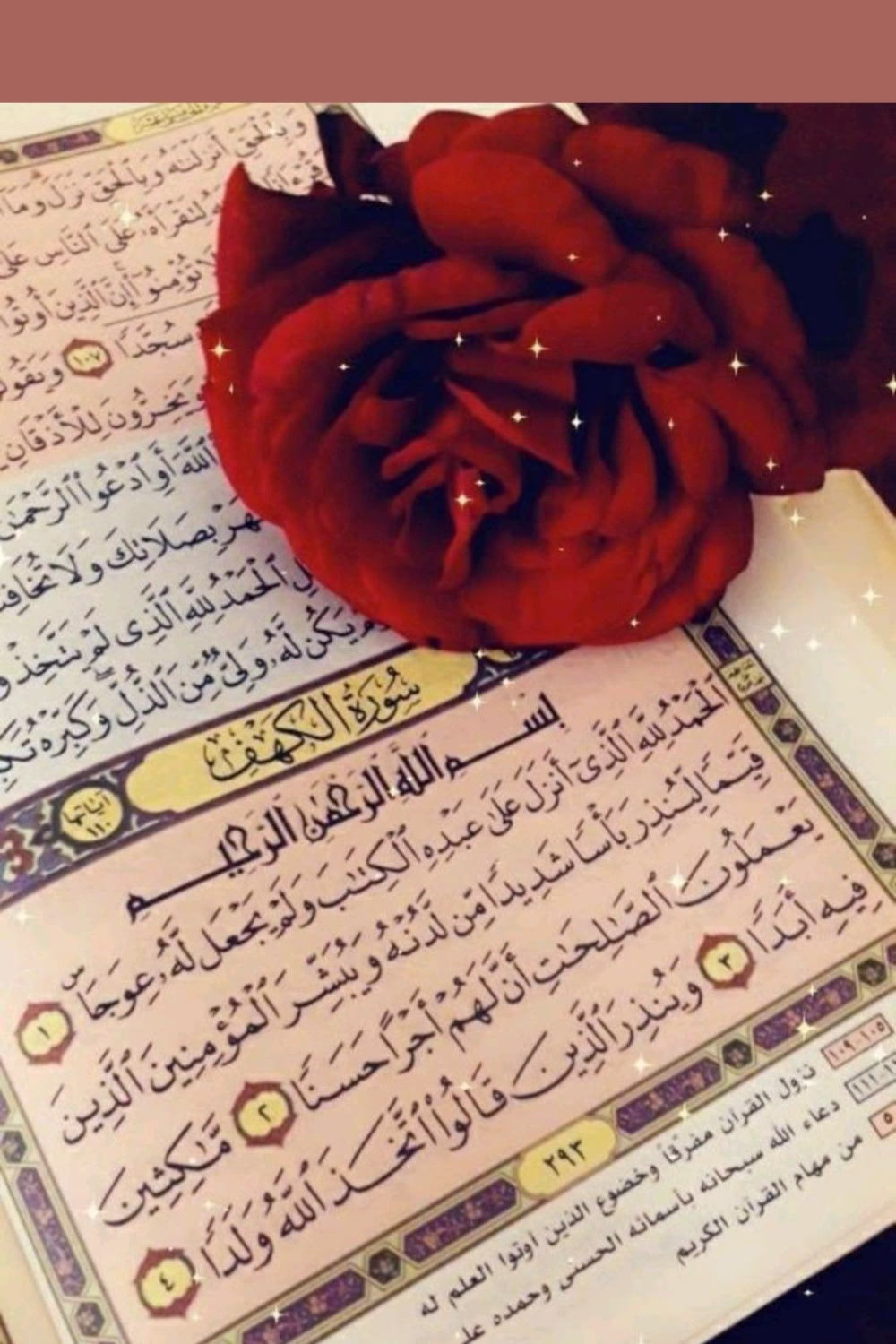 🌷🍃
وحيَّن تبدو الحياة ضيقةً كالثُقبَّ , وحين تِظُن آن آلظلام وشيك ، سيُرسل الله نوراً يتسللُ بين ثنايا روحك فيُحييكَ
لاتحزن 🚏