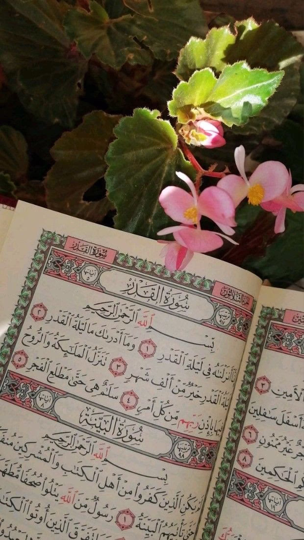 ‏"اللهُم نســألك من الأمور تمامهـا وكمالهــا
‏وجمالهـا وأن تأتينا كمــا تمنيناها وأجمــل❤️🕊.'