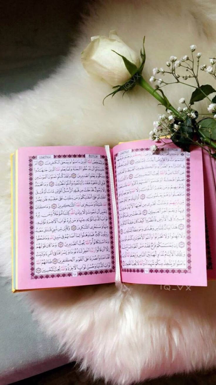 لكِنّهُنّ أكرمُ مِنْ حُورِ العينِ وأفضل ، لأنهنّ تَعِبنَ وَعَمِلنَ الصالحات في الدنيا 🌸. 
  ابن باز مٌحدّثاً عن نساء الدنيا في الجنة☁️🌸.