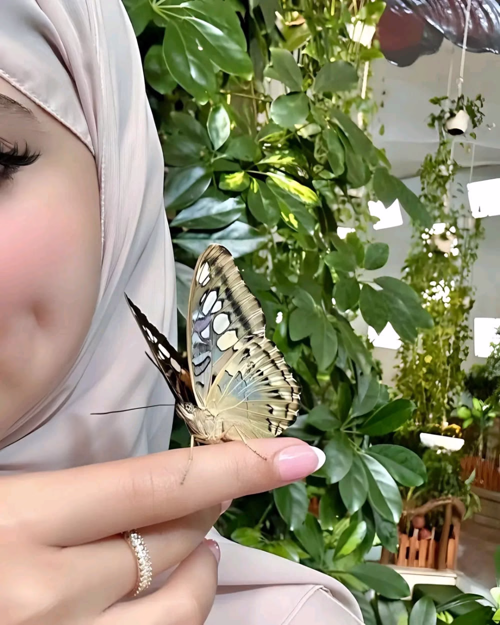"مُنْذُ أَنْ اِعْتَزَلْتُ كُلَّ مَايُؤْذِينِي وَأَنَا أُزْهرُ كَالرَّبِيعِ."💛🍂

ツ❥