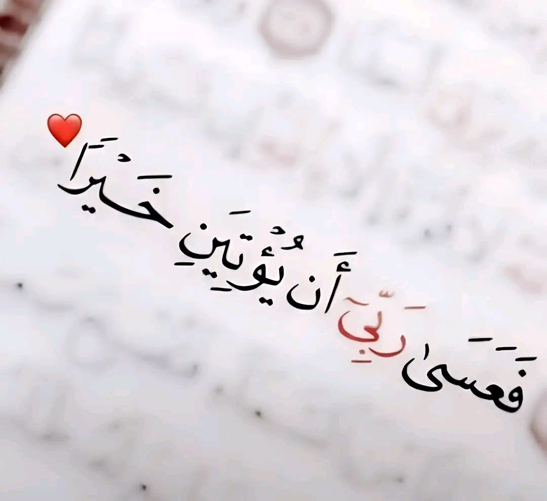 -هُنَا الْيَقِينُ وَالطُّمَأْنِينَةُ وَحُسْنُ الظَّنِّ بِاَللَّهِ️.. 
{فَعَسَىٰ أَنْ تَكْرَهُوا شَيْئًا وَيَجْعَلَ اللَّهُ فِيهِ خَيْرًا كَثِيرًا".}🌸
#يارا