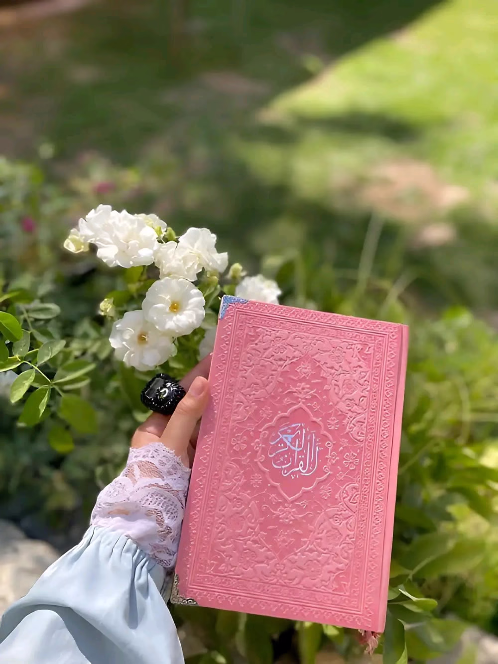 "يُخْبِرْنَا الصَّبَاحَ بِطَرِيقَةٍ دَافِئَةٍ وَحَنُونَةٍ بِأَنَّ لِكُلِّ عَتَمَةٍ نِهَايَةً وَيُمْكِنُ لِلِانْسَانِ أَنْ يَبْدَأَ مِنْ جَدِيدٍ بُرُوحٌ شَغُوفَةٌ وَمُحَبَّةٌ وَأَنَّ مَا حَدَثَ بِالْأَمْسِ يُمْكِنُ أَنْ تَمْحُوَهُ سُعَادَاتُ الْيَوْمِ الصَّغِيرَةُ."
☘︎◡̈⃝🌻