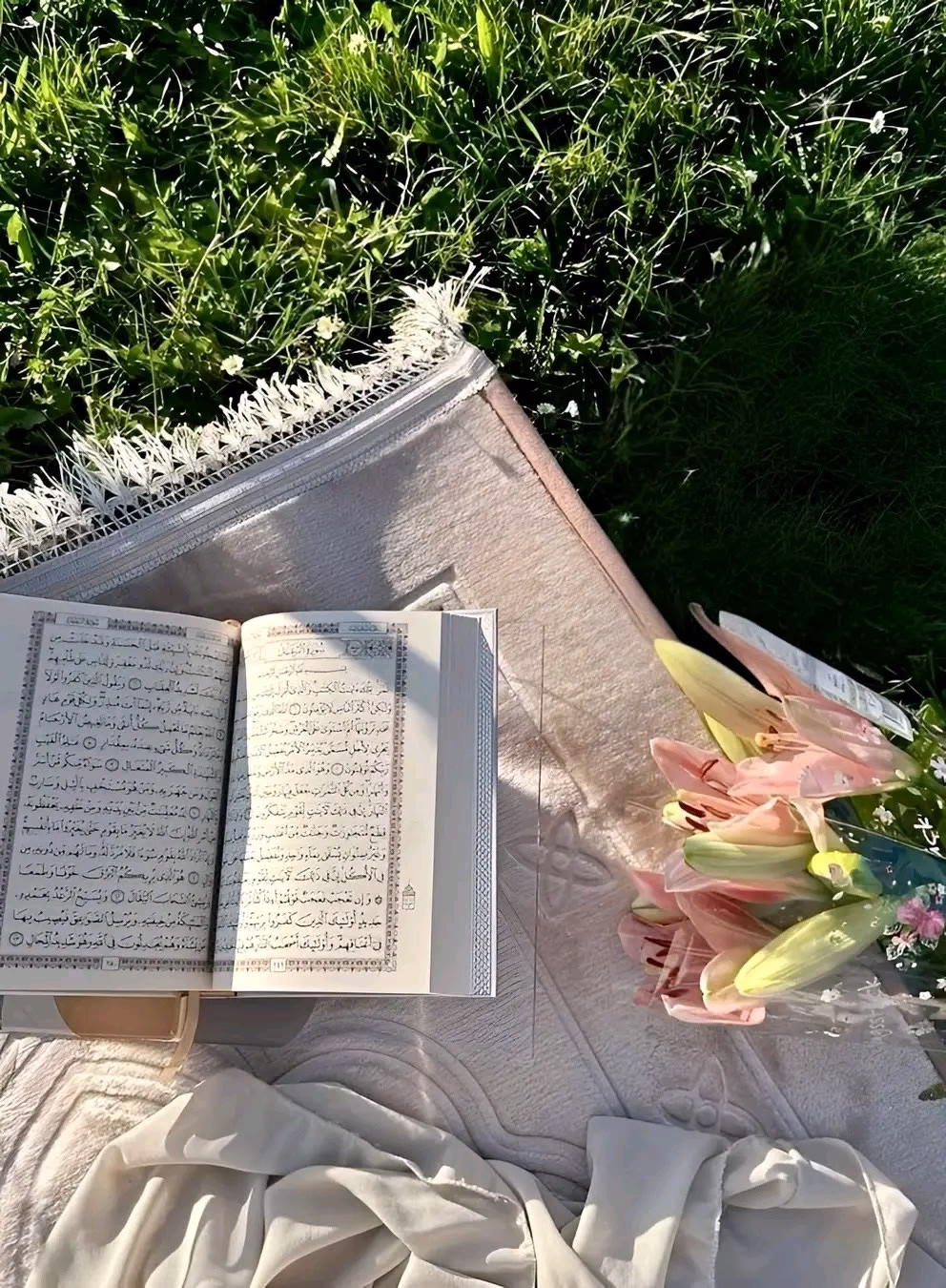 "اللَّهُمَّ خَيْرًا فِي كُلِّ اخْتِيَار، وَنُورًا فَي كُلُّ عَتَمَةٍ، وَتَيْسِيرًا لِكُلِّ عَسِير، وَوَاقِعًا لِكُلِّ مَا نَتَمَنّى."🤍🌸
#يارا