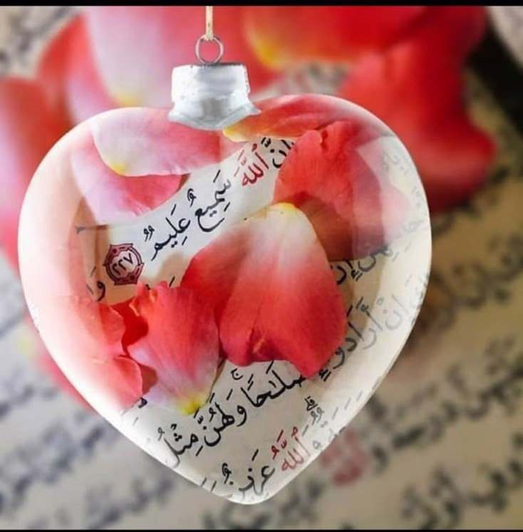 أخاف أن يأخذ الله مني نعمة غفلت عن شكرها، الحمدلله على كل النعم التي لا ثناء يوفيها ♥️