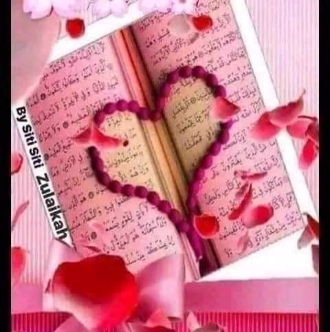 واكتبْ لي مقعدًا في الجنَّةِ،
حتىَ إذا جلستُ،
ضحكتُ علىَ أيامِ الدُنيا المُتعِبة كأنني لم أرَ حُزنًا ولم أشعرْ همًا أبدًا.
 آمين 💕 › .