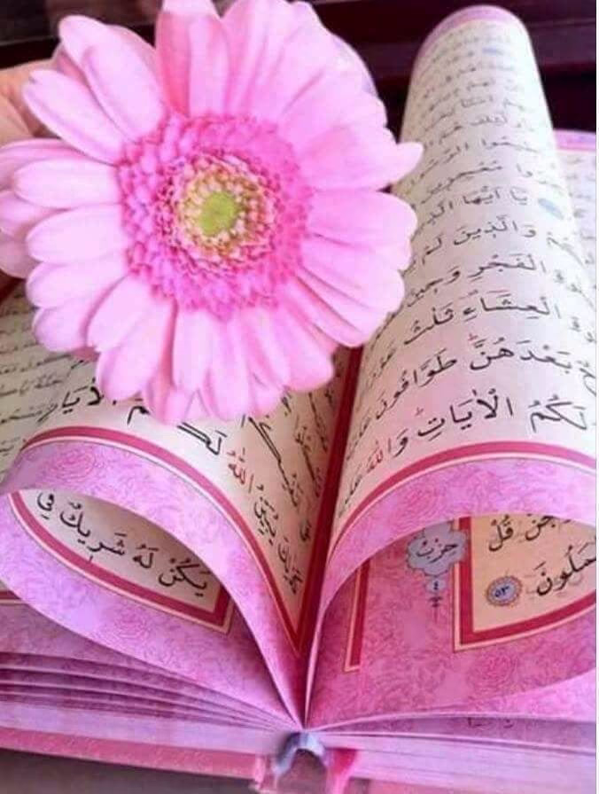 وتظن أنك لا تعاقب بذنبك وأنت حُرمتَ قيام الليل ووردك من القرأن حُرمتَ السنن الرواتب وانعقد لسانك عن ذكر الله طُبع على قلبك شيئًا فشيئاً وانت لا تشعر وتظن أنك لا تعاقب لانك لست مبتلي في دنياك واي ابتلاء اشد من أن يحرم الإنسان الوصلَ مع الله ❤️‍🩹