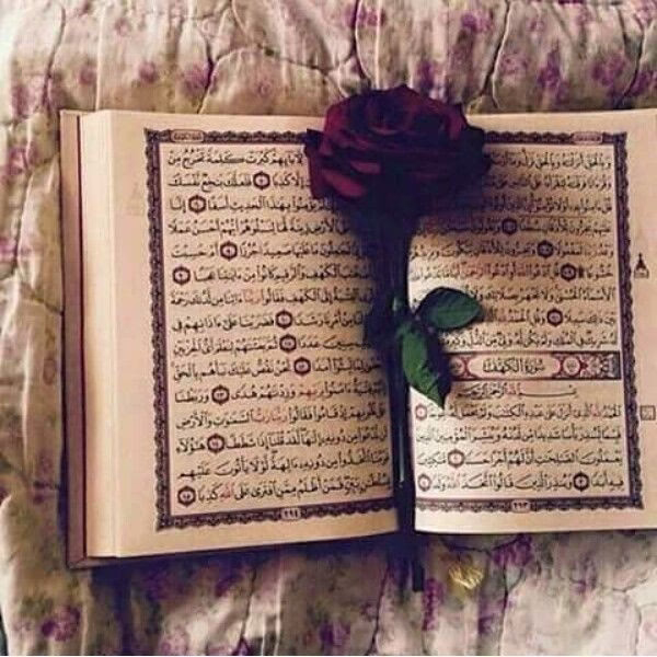كمية الأجور العظيمه بهالذكر!
سُبْحَانَ اللهِ وَبِحَمْدِهِ، عَدَدَ خَلْقِهِ وَرِضَا نَفْسِهِ وَزِنَةَ عَرْشِهِ وَمِدَادَ كَلِمَاتِهِ🩶🫀..
-ذكّر بها غيرك.