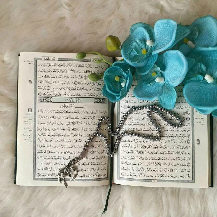 جميلةٌ هي.........تلك اليد التي تساعدك وتأخذ بيدك دوماً
 دون مقابل❤

عظيمةٌ هي.......تلك الكلمات التي تجبرك 
  ولا تنتظر الشكر❤

رائعةٌ هي........تلك الروح التي تُطمئن روحك
  وتُشعرك دوماً بالأمان❤

نادرةٌ هي........تلك النفسُ التي تنشر بحياتك عطر السعادة
  ويظلُ عطرها عالقٌ بك على الدوام❤
 
 ((🌹))..مّـْـٌـَـّ(..ٱلـّـٌخّـّـٌيـْرٌ..)ـَـٌسْاءِ..((🌹))