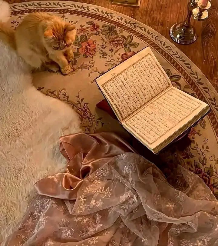 ‏إنك لا تقدر أن ترضي الناس كلهم فأصلح ما بينك وبين الله، ثم لا تبال بالناس.. 🖤🥀