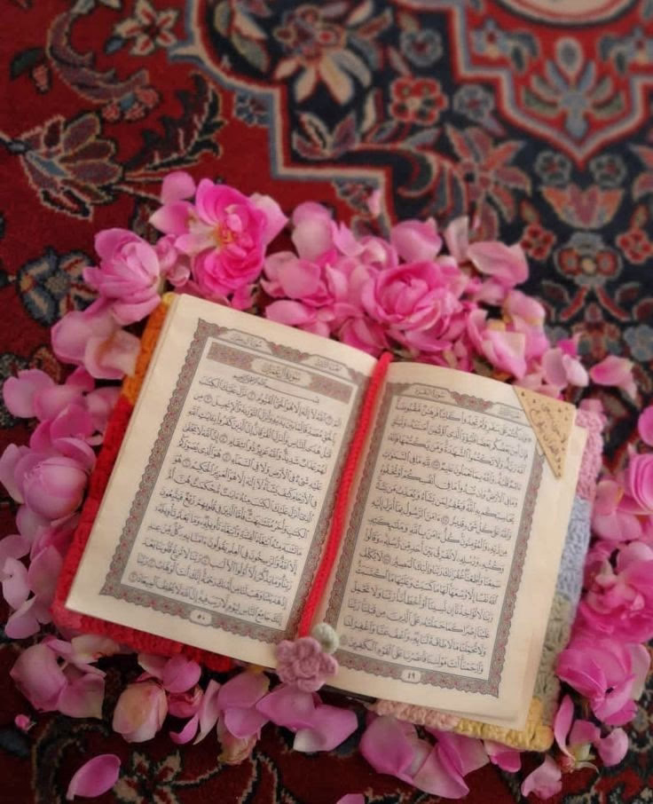 ومع أنها قوية جدأ إلا أن فيها من الرقة واللطف  أضعاف قوتها ، كانت على استعداد دائم أن تمنح روحها وقلبها وكل ما تملك لأجل من تحب ، كانت تَملك أكبر حضن دافىء وبيت أمن والسند الذي لا يميل مهما أسند عليه من الأثقال، هكذا كانت دائما 🤎✨