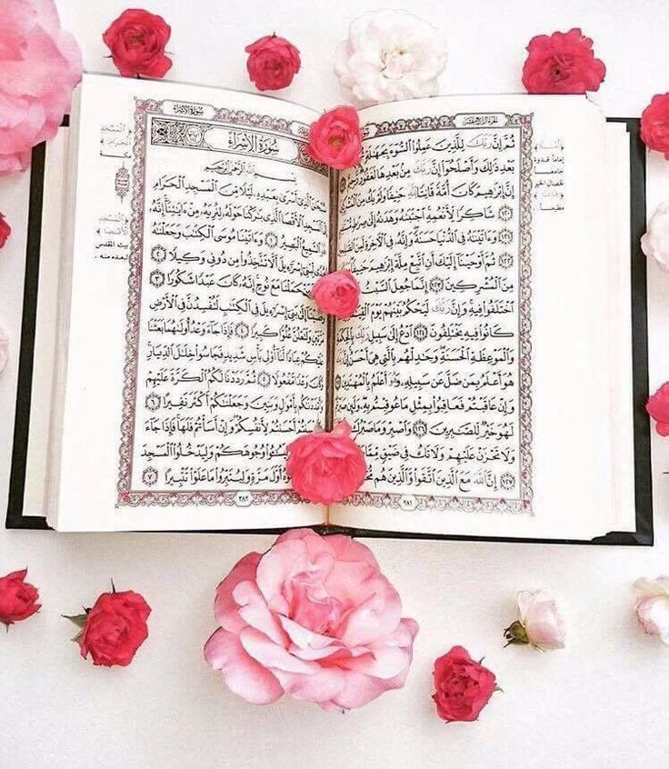 اتعلمت من ٢٠٢٤ : مفيش حد جه على نفسه واتقدر في الآخر. 🐻🤎