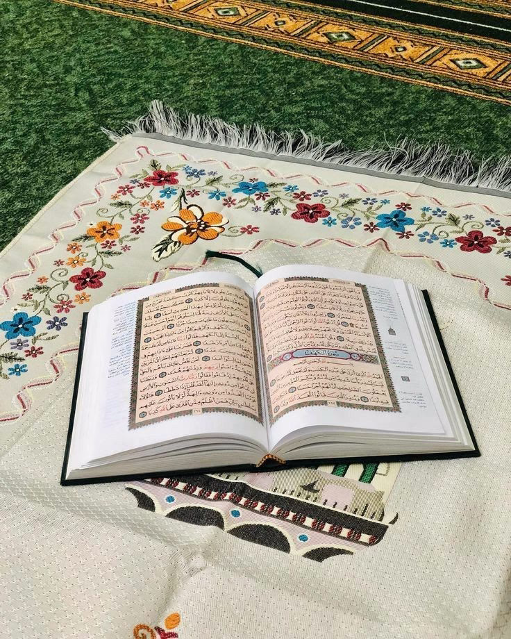 ‏"عندما تتأمل حياتك ، تتعجّب من دقّة تدبير الله للأحداث ، لله في توقيته حكمة وفي تعجيله رحمه وفي تأخيره صد أذى .. وبعد مرور فترة من الزمن تُدرك فعلاً أن الأقدار لن تكون أفضل مما قدّر الله لها أن تكون ، فَـ سُبحانه لا يُقدّر إلا الخير" 🌧💚