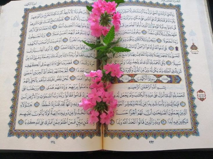 {إِنَّ اللَّهَ وَمَلَائِكَتَهُ يُصَلُّونَ عَلَى النَّبِيِّ ۚ يَا أَيُّهَا الَّذِينَ آمَنُوا صَلُّوا عَلَيْهِ وَسَلِّمُوا تَسْلِيمًا}..🤍🍃