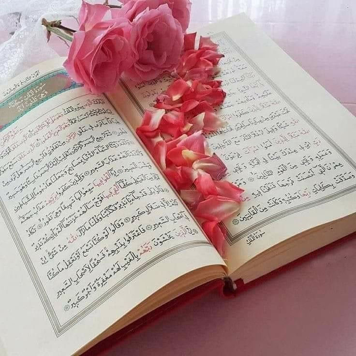 ‏رُدَّ لِجسدي ونَفسي وقَلبي عافيتهُ يَاربَّ.💚