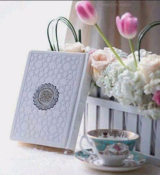 إنها ساعه #الفجر
« ‏"اللهمَّ سترك الذي لا ينكشف، 
ومعيّتك التي لا تنصرف،
 اللهمَّ حُبك الذي ينير الظلمات، 
وخشيتك التي تحيدني عن الخطايا والزلاّت، 
وحُسن السيرة، ونقاء السريرة، وفضلك التام، 
وطيب الأثر، وحُسن الختام » ♡