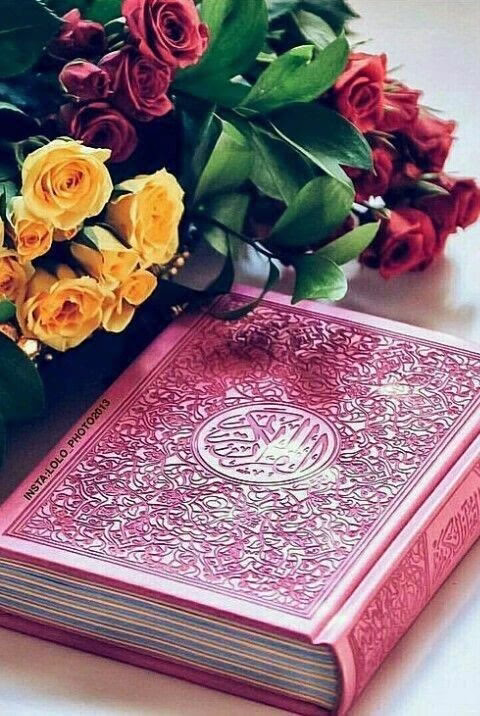 علموا أولادكم أن يكرهوا الخطيئة لا المخطئ🕊️
أن يدعوا له بالهداية لا بالهلاك 
علّموهم أن البيوت قُلوبٍ
إن لم يعمّروها بالمحبّة والغفران
سكنها الظّلم وإجتاحتها الكراهية.
علّموهم ( الحُب ) 💜 حُب النّاس
حُب الحيوان.... حُب الأماكن .... وحُب النَفس💜  علموا أبناءكم الحُب 💐