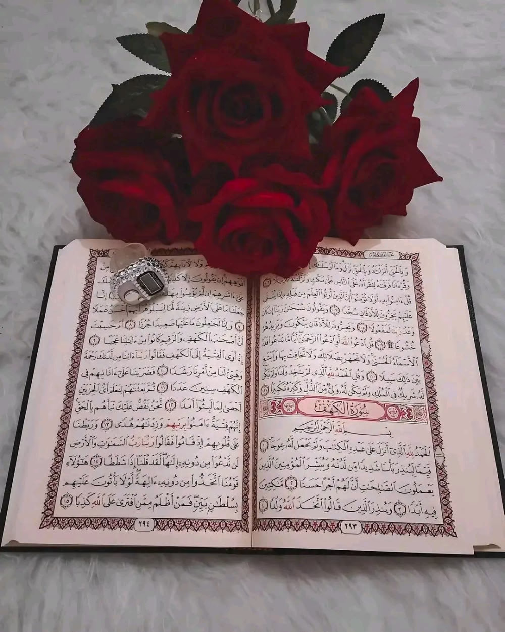 اللَّهُمَّ فِي لَيْلَةِ هَذِهِ الْجُمُعَةِ رِضَاكَ، اللَّهُمَّ لَا شَتَاتَ وَلَا خَيْبَةَ ظَنٍّ، اللَّهُمَّ طُمَأْنِينَةٌ لَا سُقُوطَ وَلَا اخْتِلَالَ وَلَا تَعَثُّرَ، اللَّهُمَّ تَوْفِيقُكَ فِي جَمِيعِ أُمُورِ حَيَاتِنَا."
☘︎◡̈⃝🌻ツ❥