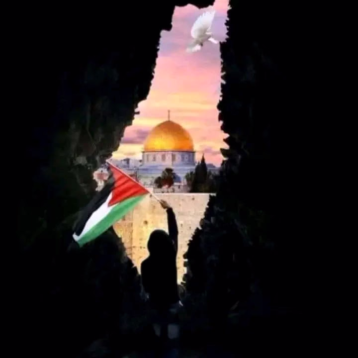بلدي الحبيبه" ستظلين  دائما ف القلب" 🇵🇸♥.