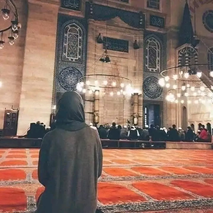اليك رفعت حاجتي ، وأنت بحاجتي أعلم يارب فيسر ولا تعسر و عجل ولا تؤجل و بارك و وفق و طمئن قلبي يا أعلم بما في قلبي . . .♥️