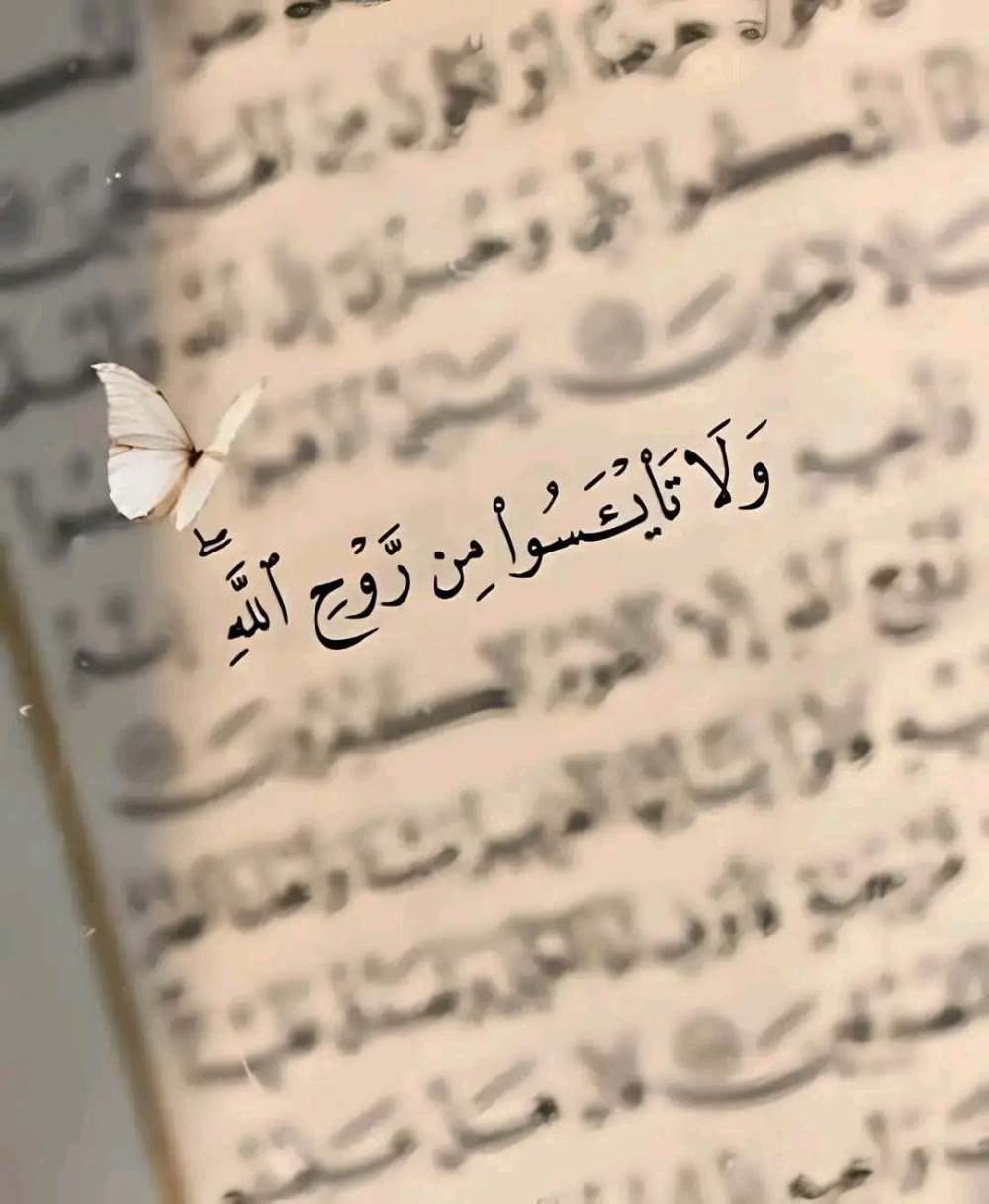 ‏"ثمّة مشاعرٌ في القلب لا يواسيها إلّا القرآن، مهما حاولت أن تواسي نفسك وأن تمسح على قلبك المكلوم فلن تجد أبلغ من كلام الله لترميم هشاشة القلب."🤍
﴿وَشِفَآءٌ لِمَا فِي ٱلصُّدُورِ.﴾ 

ツ❥