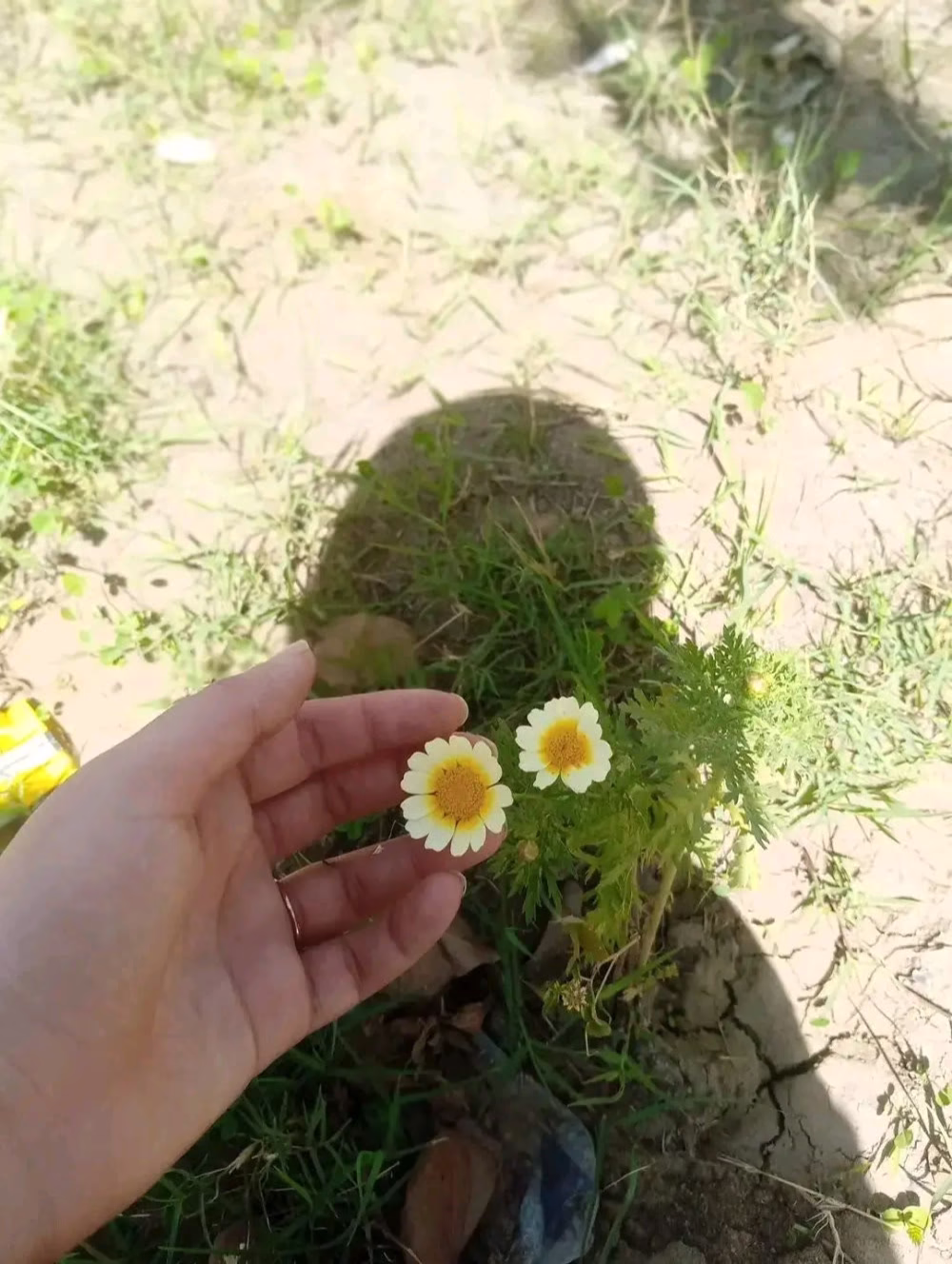 القمر جميل لكنّه أجمل..🤍✨