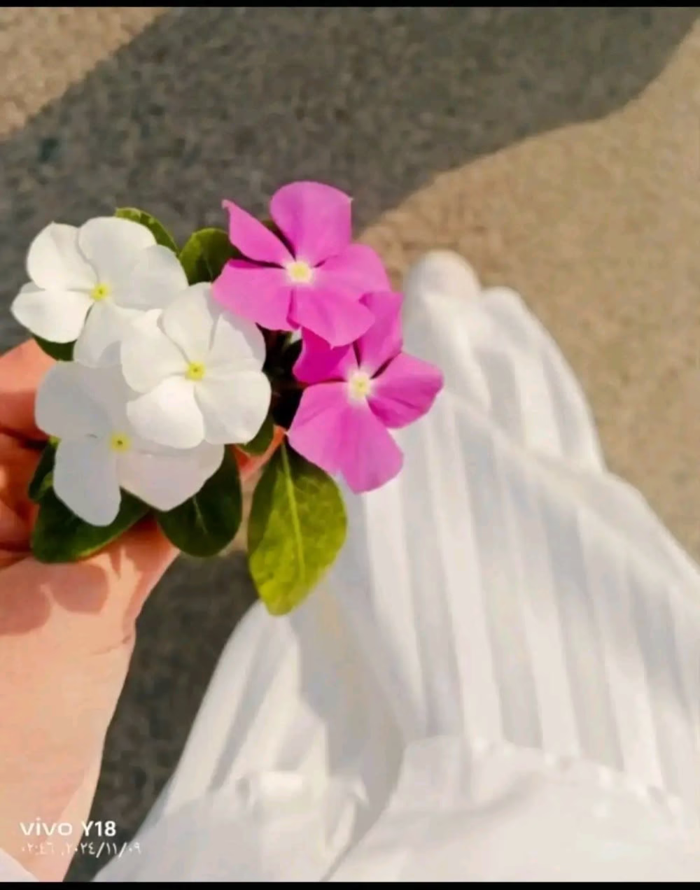 A frame from this post
