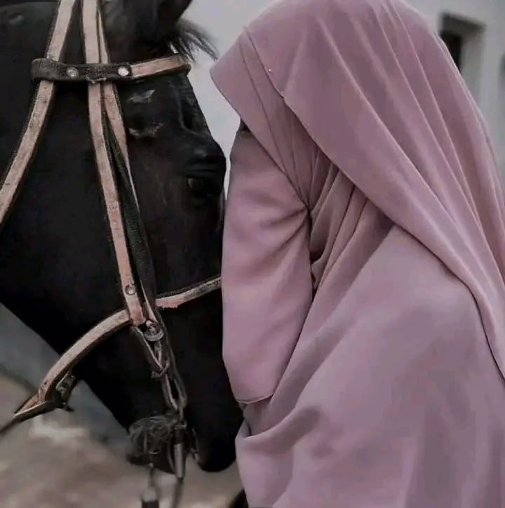 أحب الرحمة وأحب من يتحلّى بها، 
وأنا على يقينٍ تامَّ بأن اللّٰه 
يَرعى قلب من يُراعي قلوب خلقِه🤎