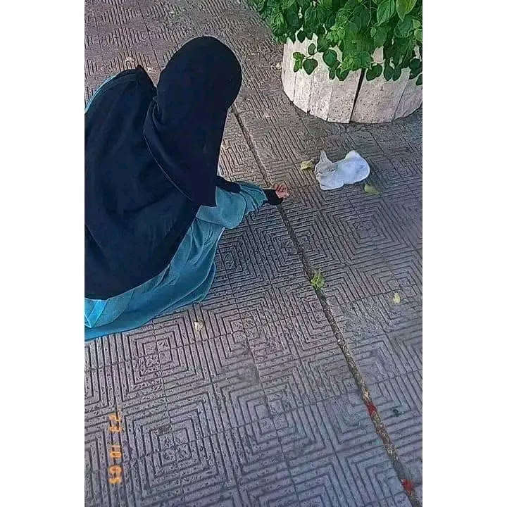 قَلبها مَدِينة آمِنة🦋>>>>