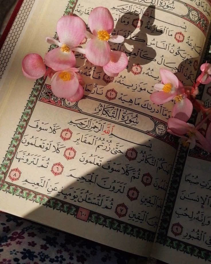 قال تعالى ﴿ وَالصُّبْحِ إِذَا تَنَفَّسَ ﴾ 

فسبحان من تنفس الصبح بأمره ..

اللهم اكتب لنا مع أنفاس هذا الصباح ، خيرًا نغنمه، ورزقًا طيبًا نكتسبه ، وبشرىٰ نسعد بها ..☀️🤲🏻♥️
