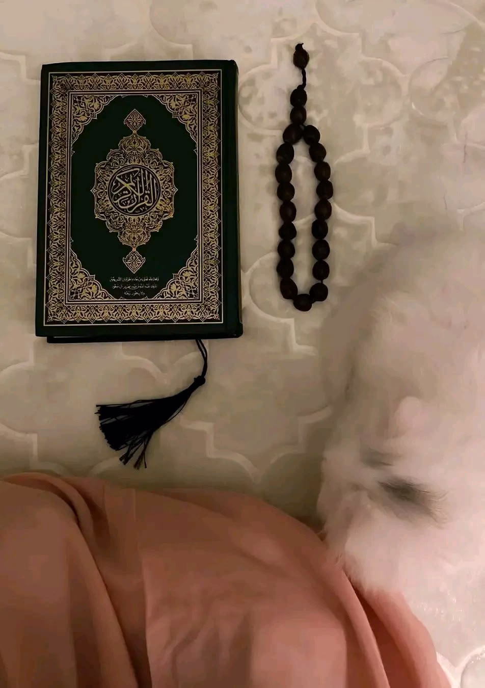"وَاللَهُ لَنْ تَجِدَ لَكَ مَأْمَنًا يُؤْوِيكَ كَمَأْوَى اللَهِ، هُوَ الَّذِي يُغْنِيكَ عَنْ كُلِّ شَيْءٍ فَلَا تُرْهِقْ قَلْبَكَ بِالْحُزْنِ وَاللَهُ طَبِيبُكَ."🧡
ياراツ❥