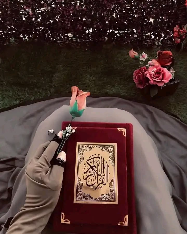 -وَدَاعًا يَا عَامُ لَمْ نَخْتِمْ فِيهِ الْقُرْآنَ، وَمَرْحَبًا بِعَامٍ سَنَخْتُمُ فِيهِ بِإِذْنِ اللَّهِ.🫶🤲