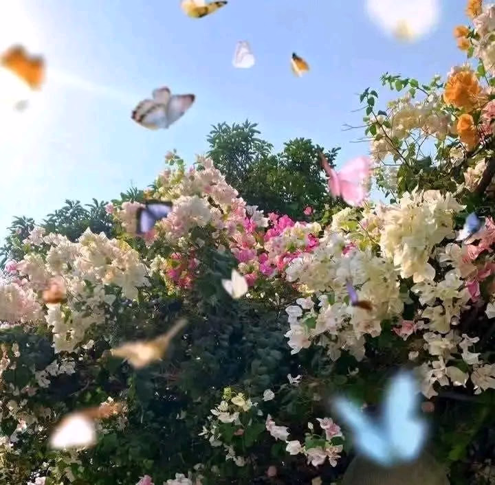 اللَّهُم شعُور الرضىٰ، بكُل شيءً 
تعلمهُ ونحنُ لا نعلم خيرهُ لنا 🦋.