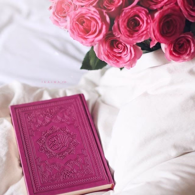 ‏١ | رجب ١٤٤٦

"اللهم اجعله شهر الجبر والعوض لقلوبنا، واجعله بداية خير وبشرنا فيه بما يسرنا، اللهم اجعله شهرًا مليئًا بالأفراح والتوفيق والمسرّات بحولك وقوتك،اللهم اجعله شهر تحقق الأمنيات،اللهم إنا ننتظر منك فرحة تغير مجرى أيامنا فبشرنا بها يا كريم .