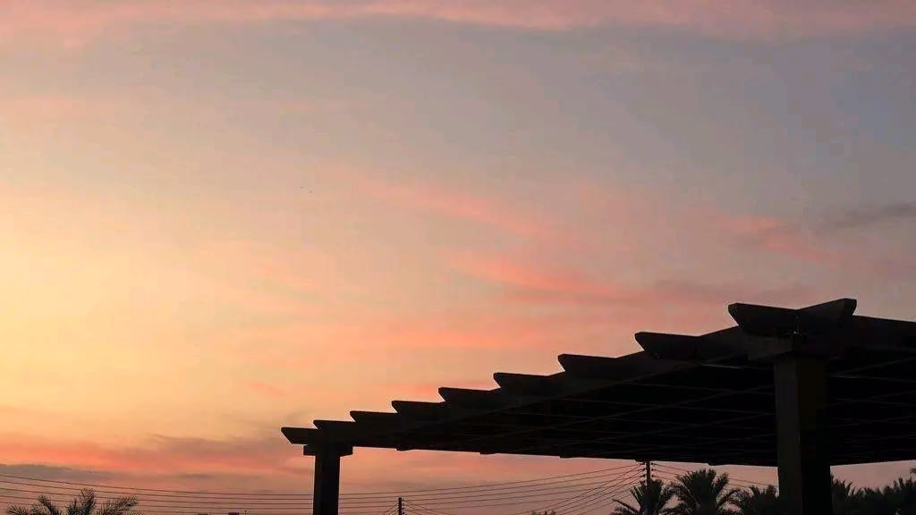 ‏اللهمّ نورك في كل خطوة نخطيها، ولُطفك في 
‏كل عقبة أمامنا، وبركاتك في ما عندنا.. وما هو حولنا، 
‏وما سيكون بين أيدينا 🪻❤️🍃..