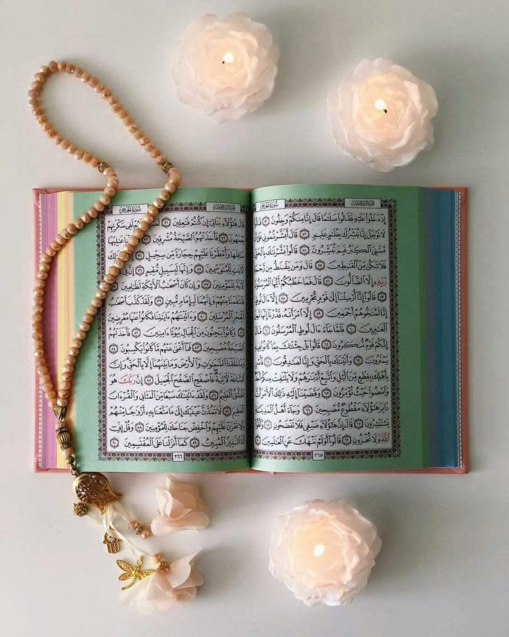 "أسألُ اللّه أن يَصُبّ القُرآن في قَلبي وقُلُوبكُم صَبًّا، حَتَّى تَرتَوي." صـَلـُّواْ ٓعـَلـٌىٰ ٓ النـَّبـِّيِّ ٓ ﷺ ❤️