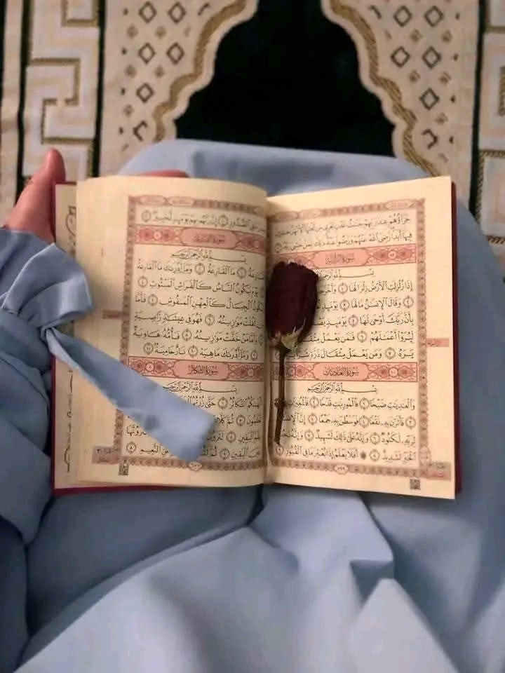 - ستأتي لحظة يجبر الله فيها خاطرك، لحظة يفز قلبك، وتشفي كل كسوره، وتعوضك عما كان، فأطمئن .💙💙
