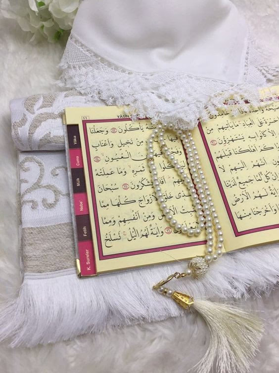 #اللهم_لك_الحمد_ولك_الشكر عسى أن تكرهوا شيئا وهو خير لكم وعسى أن تحبو شيئا وهو شر لكم والله يعلم وانتم لا تعلمون 🥰🤲