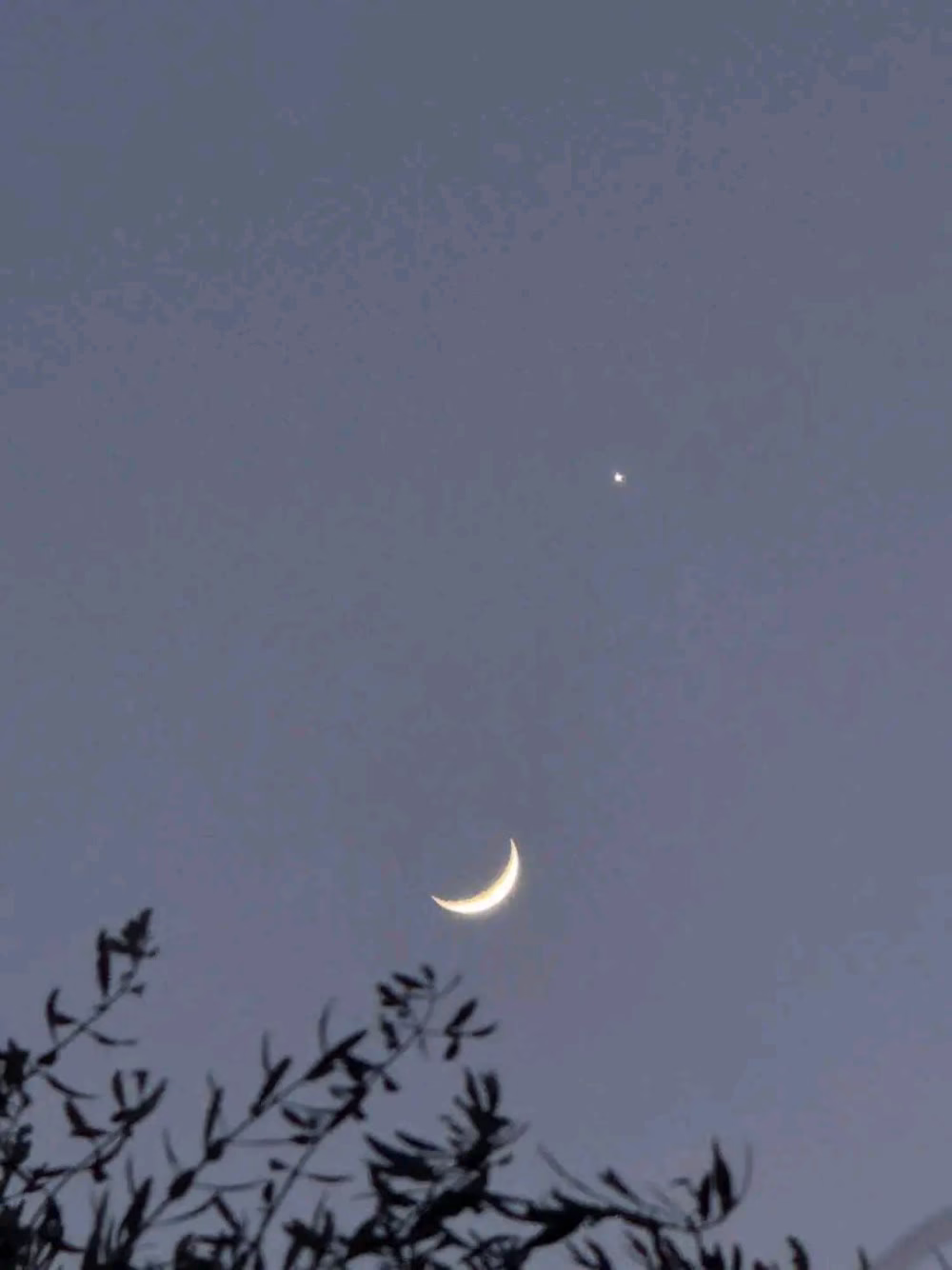 اللهم إنها ثَقُلت وضاقت وأستحكمت 
إلاهي نرجوك ولا نرجو غيرك 
فكن لنا خير وكيل 🥹❤️.