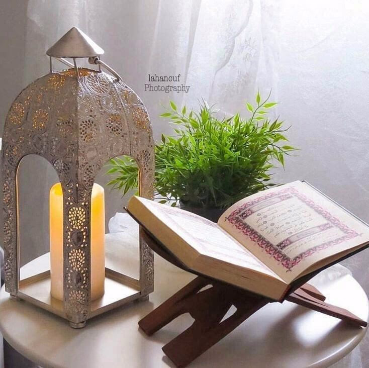 يدبر أمرك بينما أنت تحارب قلقك، يدبر أمرك بينما أنت غارق في أفكارك، يدبر أمرك بينما تخشى وقوع مخاوفك، يدبر أمرك بينما أنت مكتف بعجزك، يدبر أمرك بينما أنت تسعى خلف رغباتك، يدبر أمرك بينما أنت في تمام الضياع ويقين الرجوع، يدبر أمرك لأنه أعلم منك بحالك

سيستجاب دعائك بإذن الله.. إياك أن تمل أو تيأس." قريباً سيتحقق لك ما تريده بتدبيره لا بتدبيرك .. 

فإنَّك بأعيننا ....
صلي على النبي ❤️