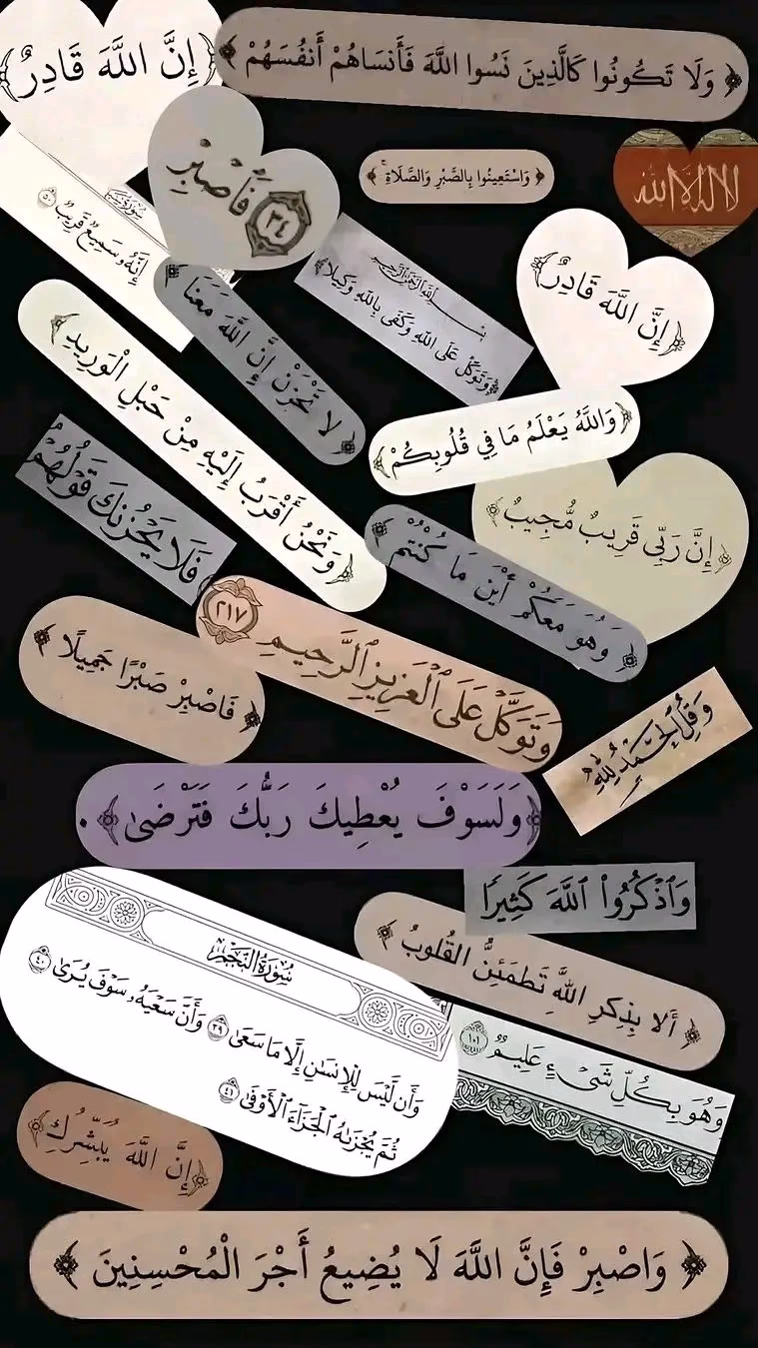 - اكْتُبْ أَوَّلَ مَا رَأَتْ عَيْنُكَ؟!
🦋⑅⃝🤎ツ❥