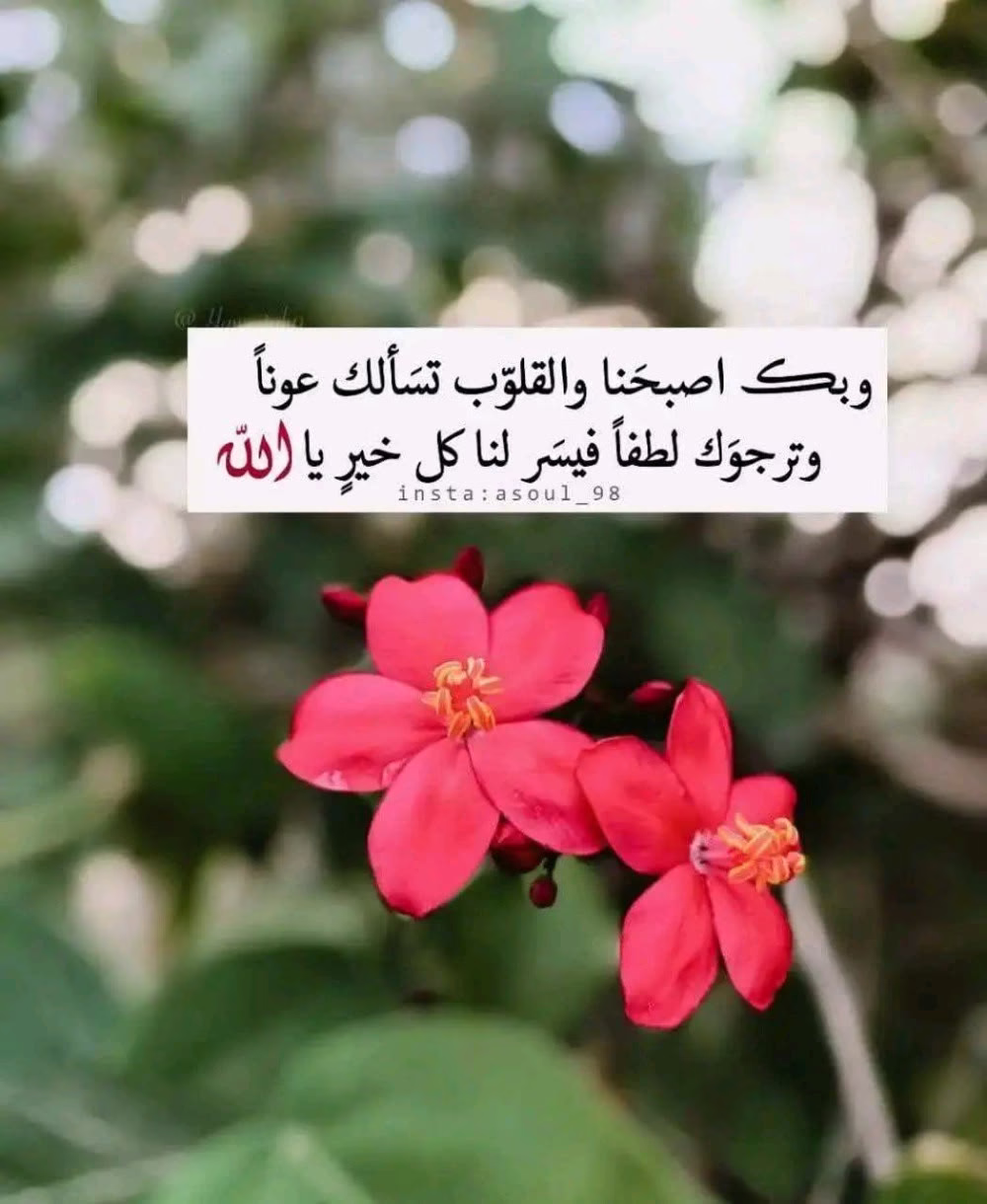 اللّهُمَّ امنحنا ستراً يحجب ما اقترفناه
وعلماً يزيل ما جهلناه
ورزقاً يفوق ما تمنيناه
اللّهُمَّ لك الحمد والشكر
أطعمت وسقيت
وكفيت وأغنيت
وهديت فلك الحمد على ما قضيت
ولك الشكر على ما أنعمت به وأعطيت