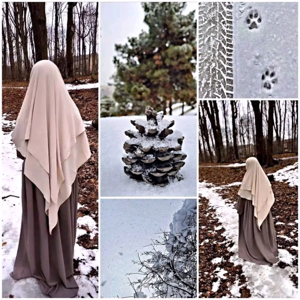 ياربّ سهّل علينا مشقّة الطريق، وارزقنا فيه العَون والرُّشد والأُنس، واجعلنا من أهل "سلامٌ عليكم بما صَبَرتُم فِنعمَ عُقبى الدّار"🤍🍂