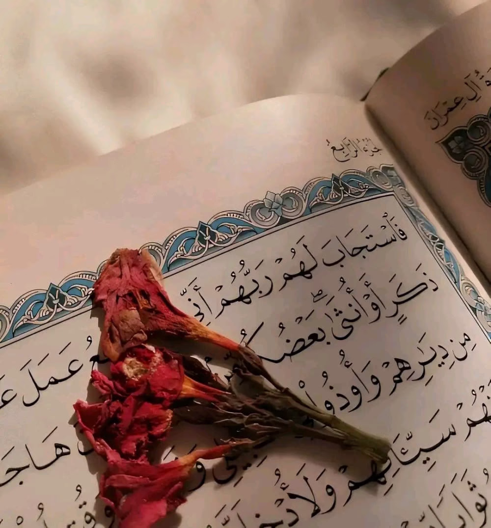 "لَا تَيْأَسْ مِنْ حَيَاةٍ أَبْكَتْ قَلْبَكَ؛ وَقُلْ يَا اللَّهُ عَوِّضْنِي خَيْرًا فِي الدُّنْيَا وَ الْآخِرَةِ، فَالْحُزْنُ يَرْحَلُ بِسَجْدَةٍ وَالْفَرْحَةُ تَأْتِي بِدَعْوَةٍ."🕊️🤲🤍