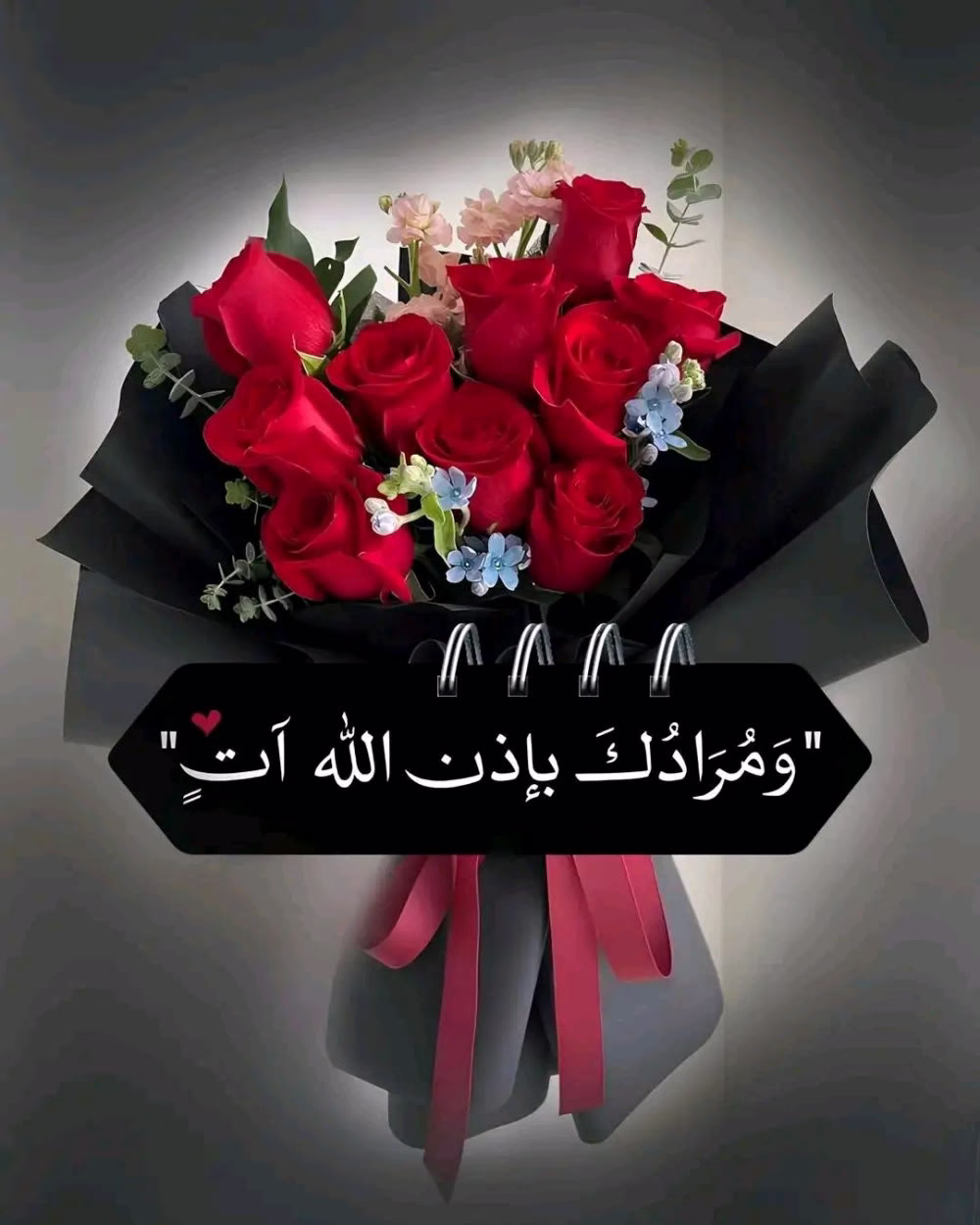 "جَبَرَ اللَّهُ قُلُوبَكُمْ قَلْبًا قَلْبًا وَقَلْبِي، وَأَقَّرَّ أَعْيُنَنَا بِمَا نُحِبُّ وَنَتَمَنَّي."🤍
『ツ』❥