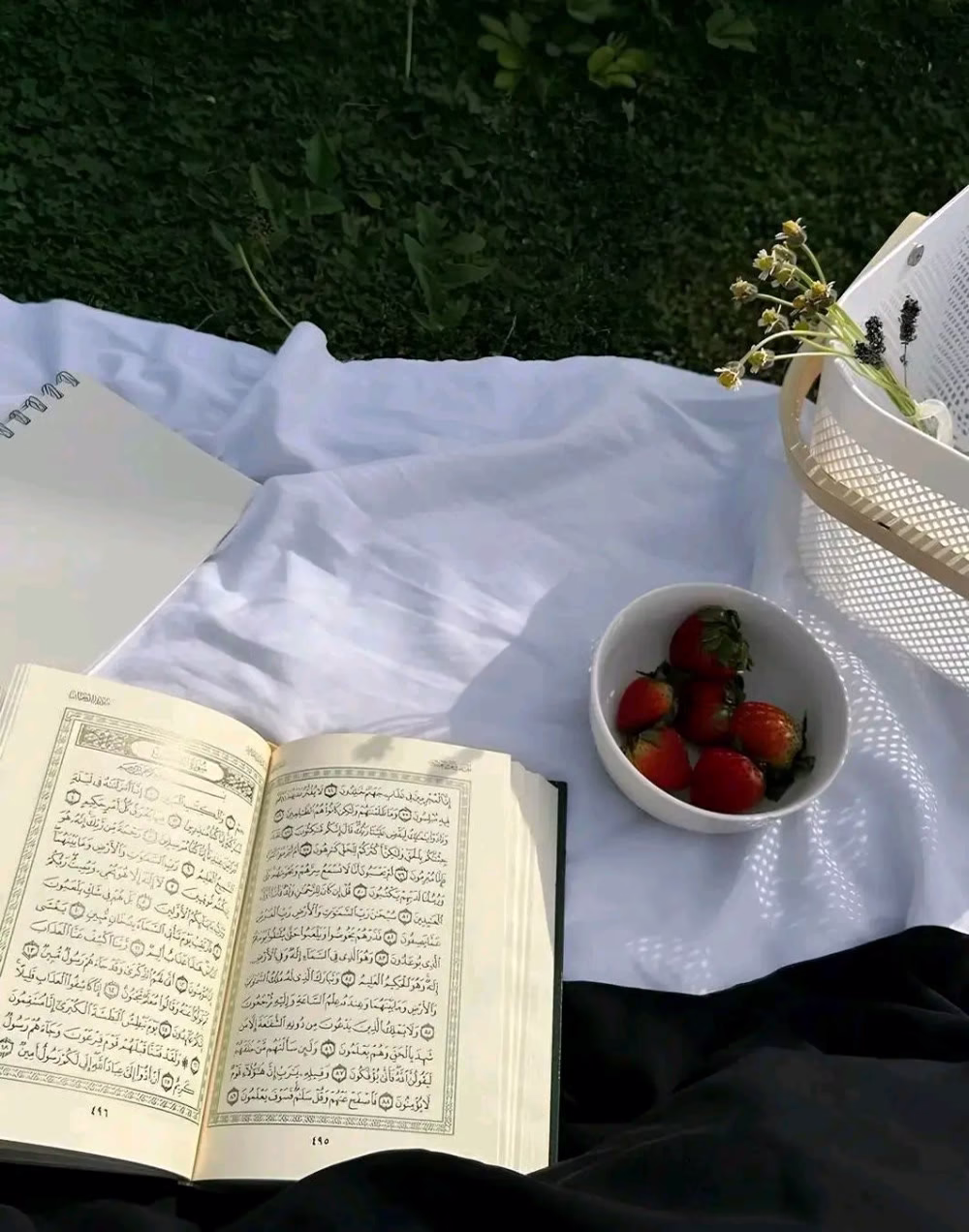 "اللَّهُمَّ صَبَّحْنَا بِبَشَائِرَ خَيْرِكَ، وَأَمْدَدْنَا بِوَافِرٍجَوْدَكَ، وَاجْعَلْ لَنَا مَعَ نَسَمَاتِ هَذَا الصَّبَاحِ رِزْقًاً وَسَعَادَةً وَعَافِيَةً."💚🌸
يارا『ツ』☆‏♥︎❥