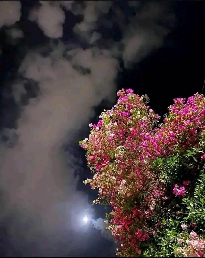 الى كل متصل الان 🌹💙

*‏اللهــم أرح قلوبنــا بمـا أنــت أعلــم بـه اللهــم أبعـد عنـا الضيـق و الحـــزن و أستجــب لنـا ڪـل دعــــاء*♥️