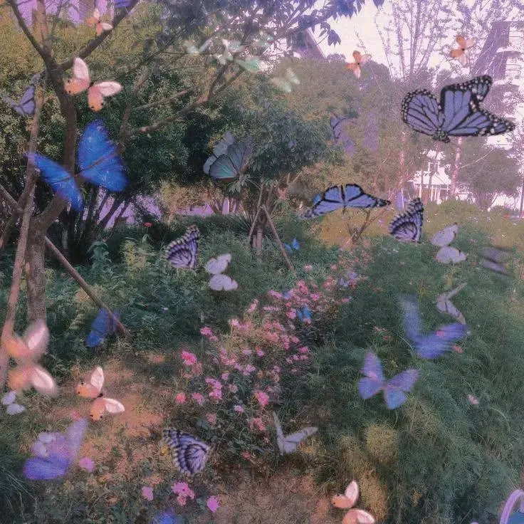 | ‏توّلنا وتوّل اختياراتنا وحياتنا ياربّ لطريقٍ تُحبه ونُحبه...🌸🦋