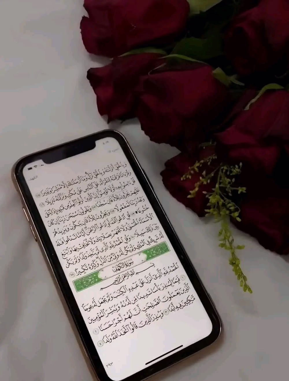 - وَفِي لَيْلَةِ الْجُمُعَةِ:  "اللَّهُمَّ إِنِّي وَلَّيْتُكَ امْرِي فـ أَعُوذُ بِكَ مِنْ سُوءِ حَظِّي، وَضِيقِ صَدْرِي، وَمِنْ فَرَاغِ صَبْرِي، وَإِجْعَلْنِي يَارِبَ مِمَّنْ نَظَرْتُ إلَيْهِ فِ رَحْمَتِهِ وَسَمِعْتُ دُعَائَهُ فـ أَجَبْتُهُ."🕊🌸#يارا『ツ』❥