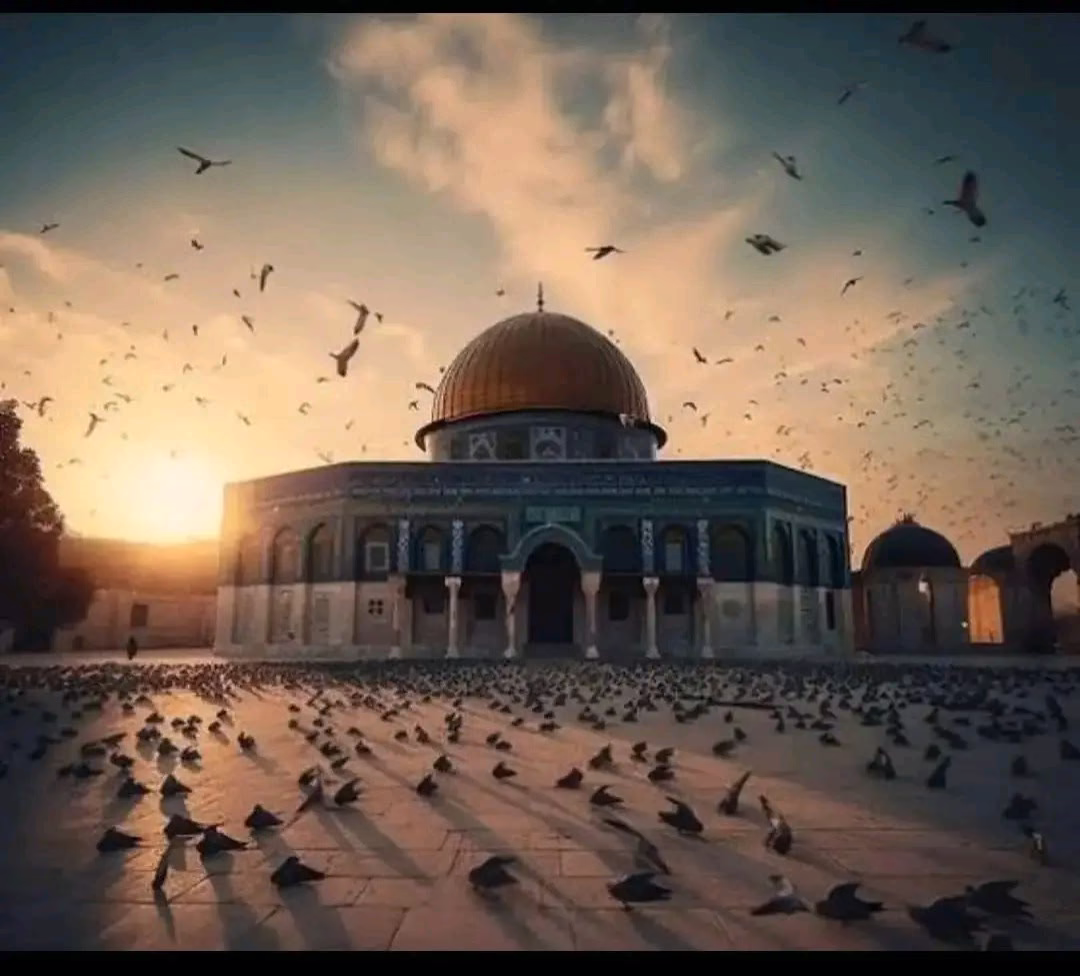 يا من لا يُهزم جُنده ولا يخلف وعدُه، ولا إله غيره، كُن لأهلنا واخواننا في فلسطين عونًا ونصيرًا، ومعينًا وظهيرًا🕊♥🇵🇸🇵🇸