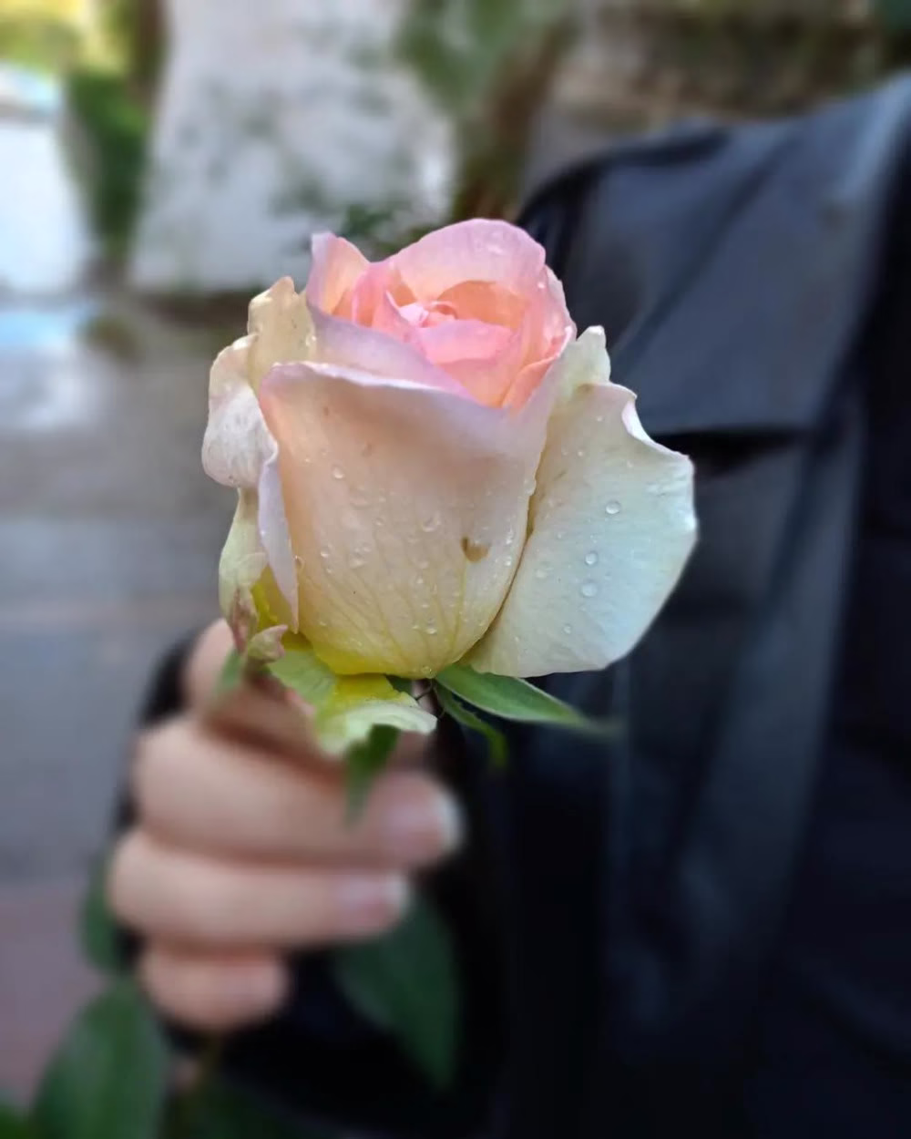 ولـــيتنـا نمـــلڪ حـق التـڪراࢪ لأيــامنــا الجمــــيلة💙💎『ツ』☆(⁠๑⁠˙⁠❥⁠˙⁠๑⁠)
